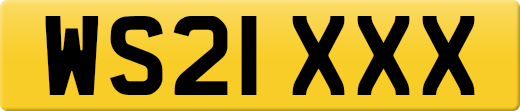 WS21XXX