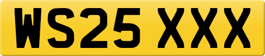 WS25XXX