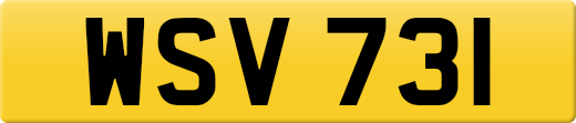 WSV731