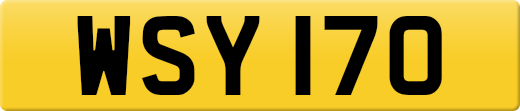 WSY170