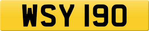 WSY190