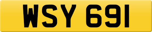 WSY691
