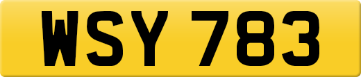 WSY783