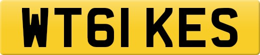 WT61KES