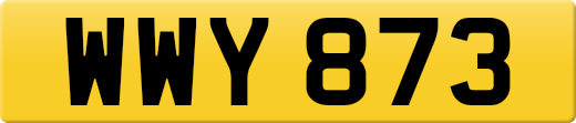 WWY873