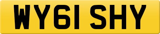 WY61SHY