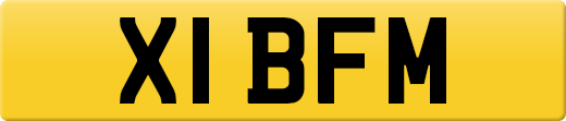 X1BFM