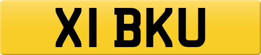 X1BKU