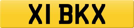 X1BKX