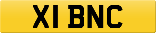 X1BNC