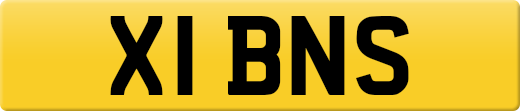 X1BNS