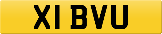 X1BVU