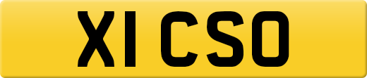 X1CSO
