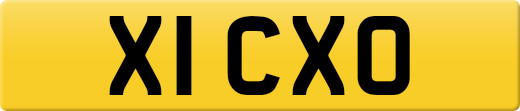 X1CXO