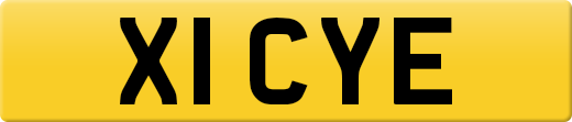 X1CYE