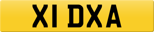 X1DXA