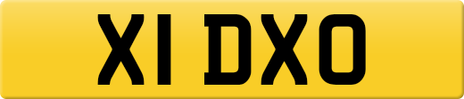 X1DXO