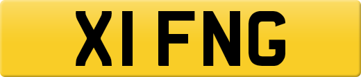 X1FNG