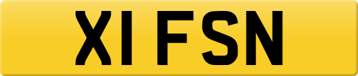 X1FSN