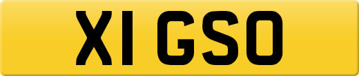 X1GSO