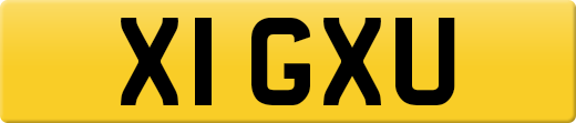X1GXU