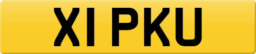 X1PKU