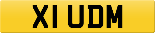 X1UDM