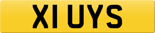 X1UYS