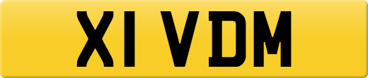 X1VDM