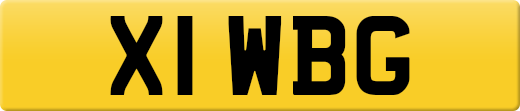 X1WBG