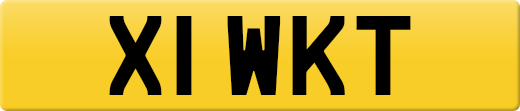 X1WKT