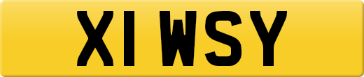X1WSY