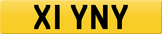 X1YNY