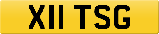 X11TSG