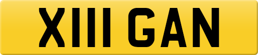 X111GAN