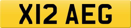 X12AEG