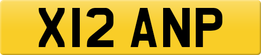 X12ANP