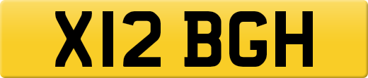 X12BGH
