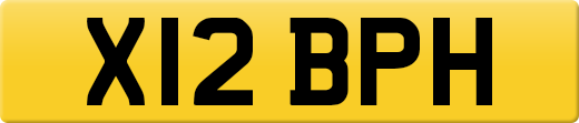 X12BPH