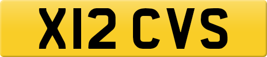 X12CVS