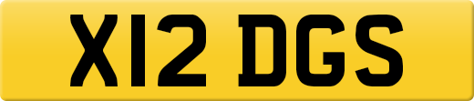 X12DGS