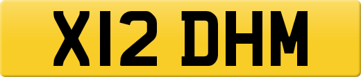 X12DHM