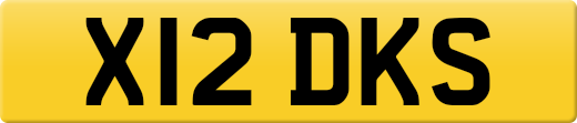 X12DKS