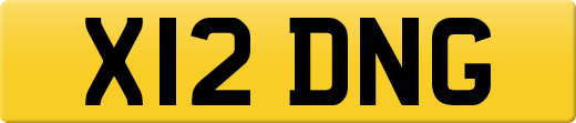 X12DNG