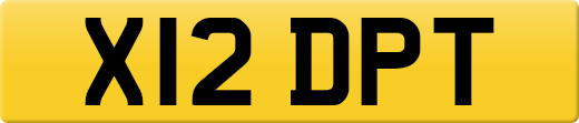 X12DPT