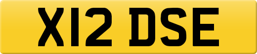 X12DSE