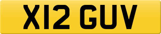 X12GUV