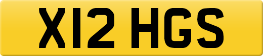 X12HGS