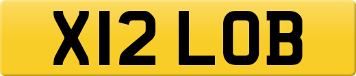 X12LOB