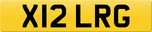 X12LRG